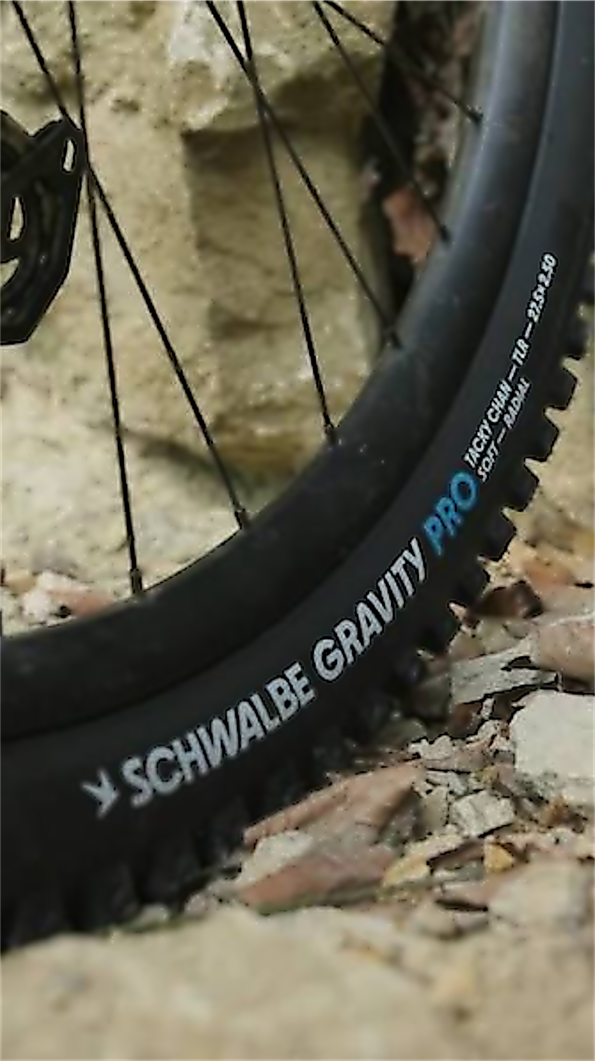 Schwalbe Gravity Pro Reifen